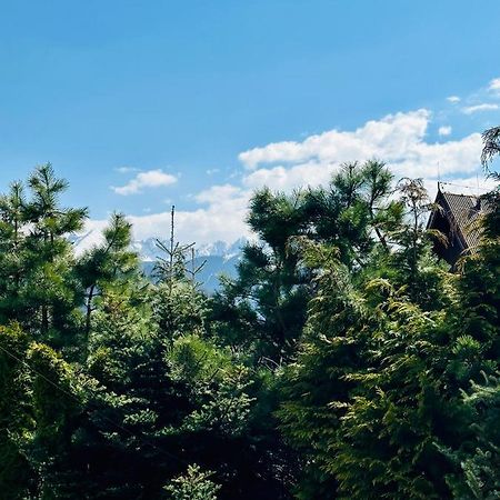 Appartamento Swarny Zakatek Zakopane Esterno foto