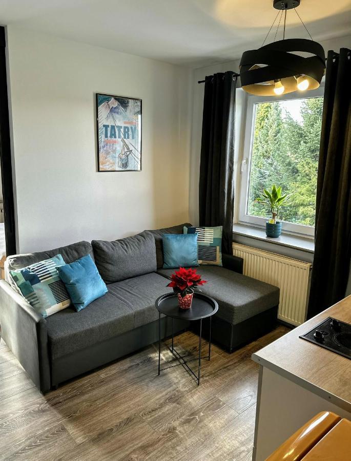 Appartamento Swarny Zakatek Zakopane Esterno foto